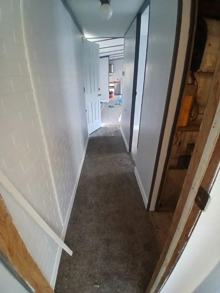 Professional lawn mowing service experts serving Saginaw, MI - Websters