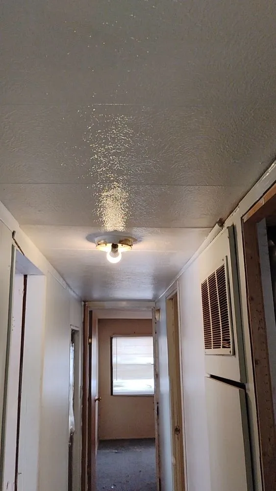 Expert landscaping services for residential properties in Saginaw, MI by Websters