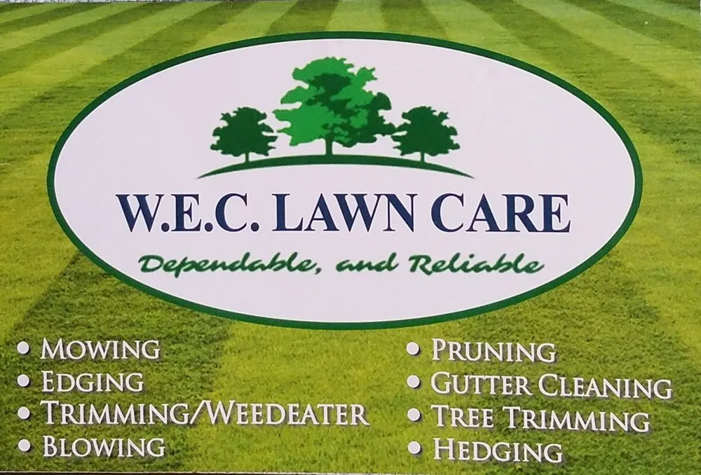 Professional yard cleanup service in Privateer, SC by W.E.C. Lawn Care