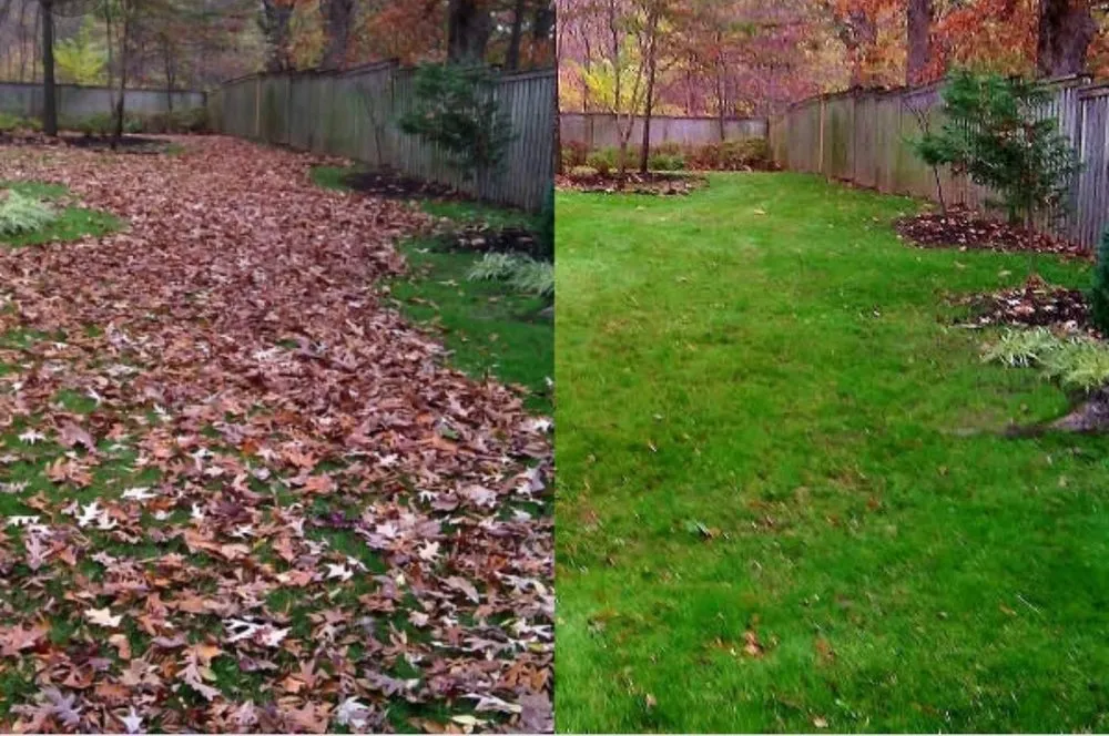 Top-rated landscaping services in Privateer, SC - W.E.C. Lawn Care