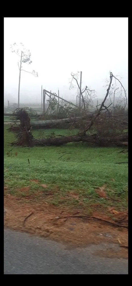 Trusted landscaping services in Schertz, TX by WeCare Tree Care