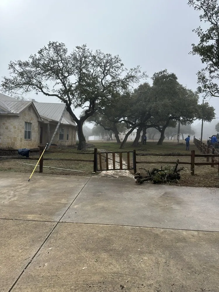 Affordable residential landscaping in Schertz, TX by WeCare Tree Care