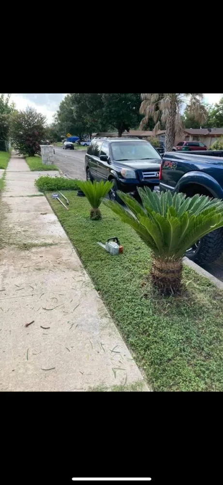 Professional lawn mowing service in Schertz, TX by WeCare Tree Care