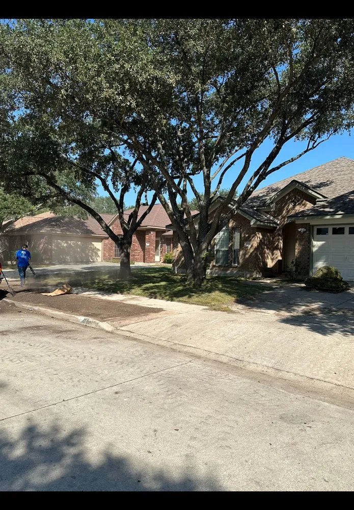 Top-rated landscape installation experts serving Schertz, TX - WeCare Tree Care