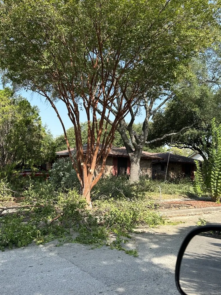 Affordable lawn mowing service for outdoor upgrades in Schertz, TX by WeCare Tree Care