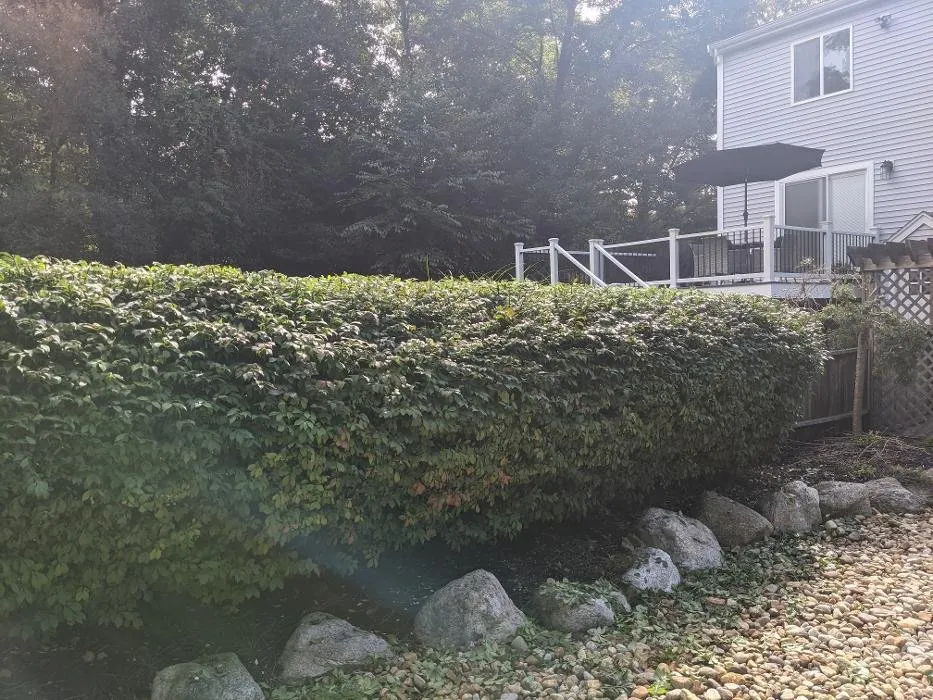 Affordable landscaping services for homes across Lakeville, MA - Wedge Landscaping