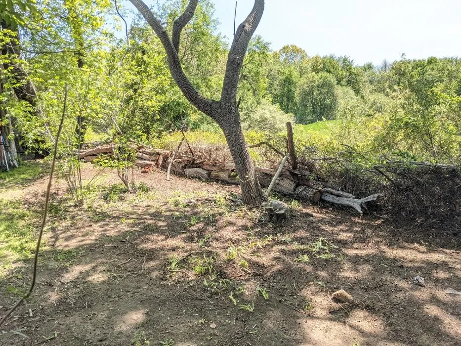 Custom yard maintenance for year-round maintenance across Lakeville, MA - Wedge Landscaping