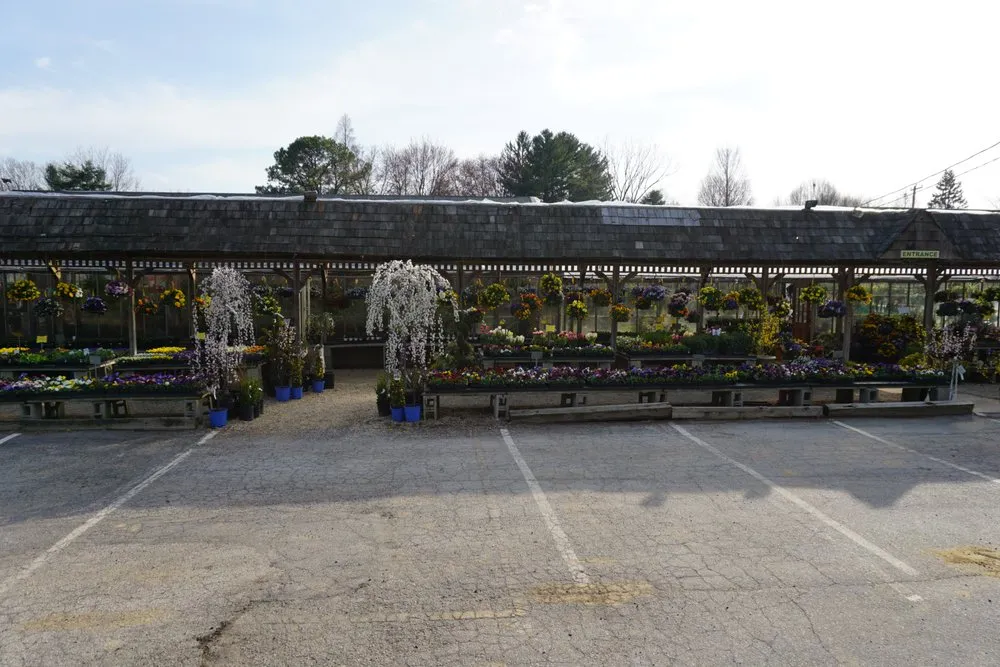 Trusted yard cleanup service in Glen Mills, PA by Wedgewood Gardens