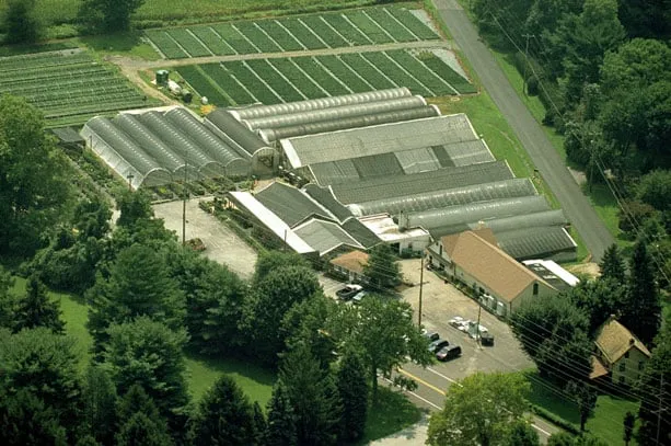 Expert landscaping services experts serving Glen Mills, PA - Wedgewood Gardens