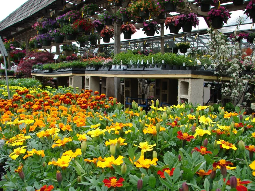 Affordable landscape installation for beautiful yards in Glen Mills, PA by Wedgewood Gardens