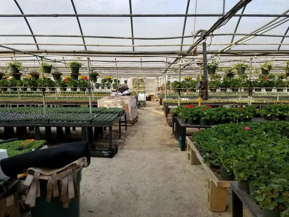 Trusted landscape design in Glen Mills, PA by Wedgewood Gardens