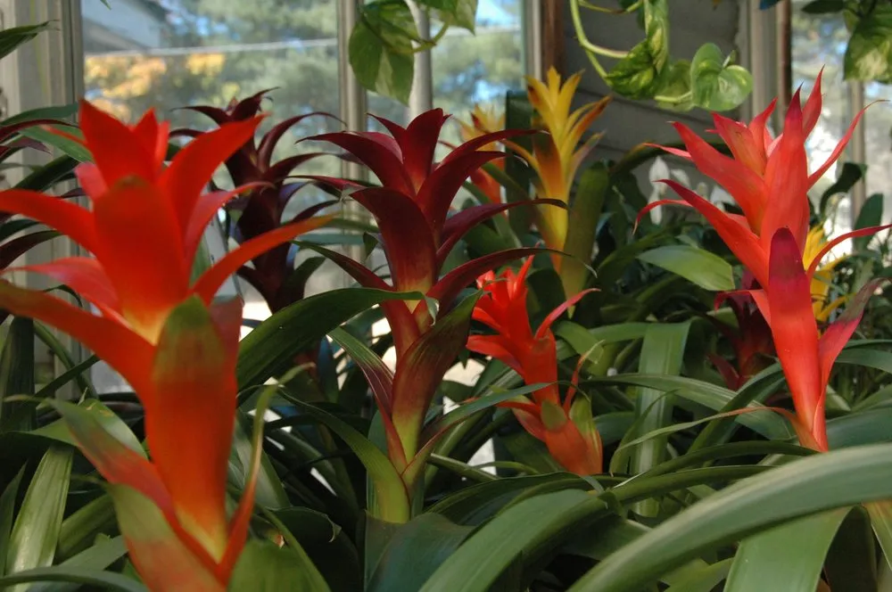 Expert landscaping services near you across Glen Mills, PA - Wedgewood Gardens