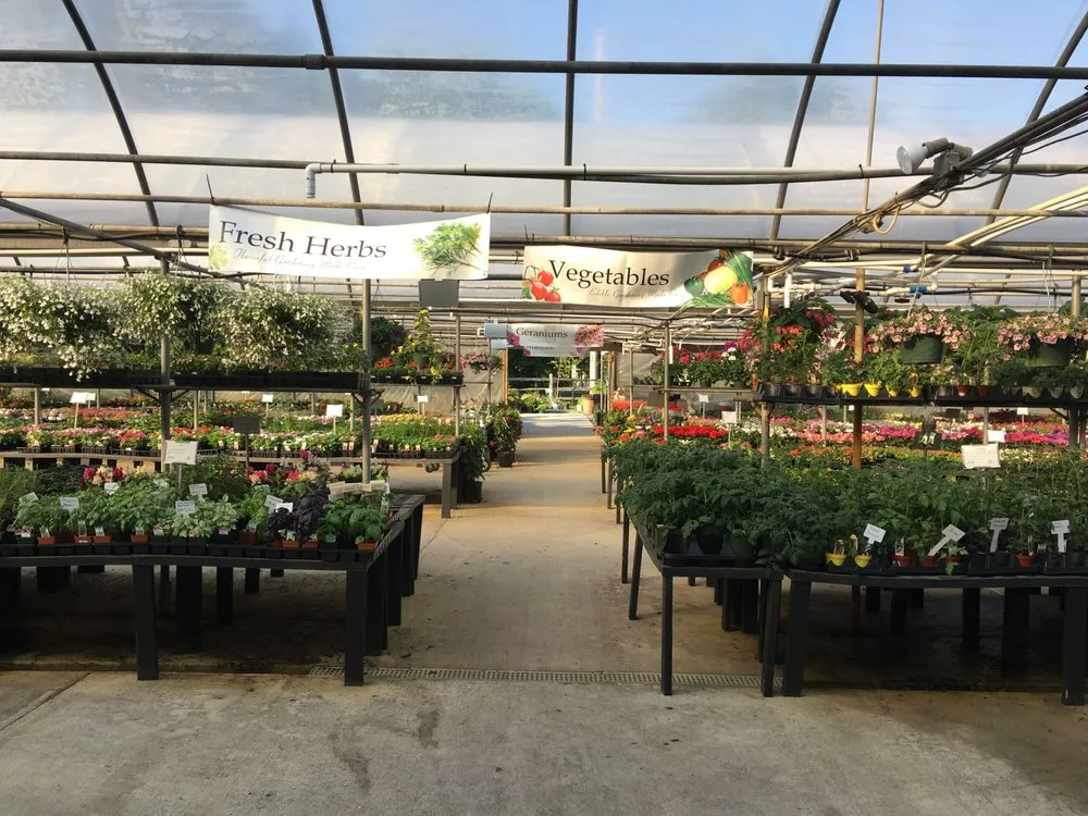 Local landscaping services experts serving Glen Mills, PA - Wedgewood Gardens