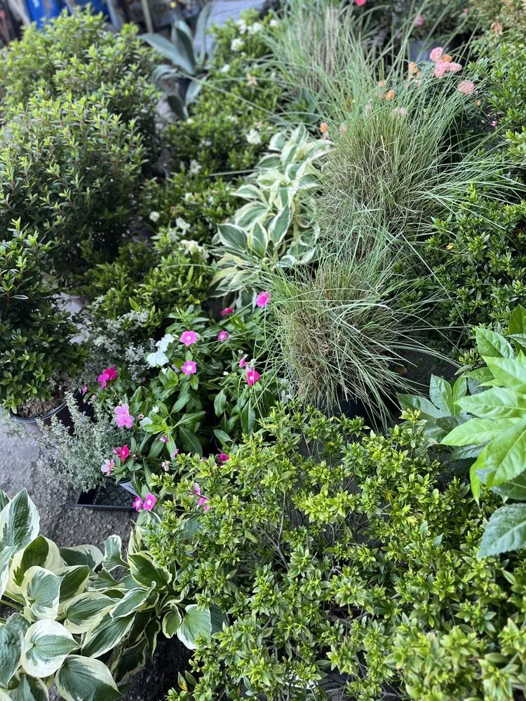 Top-rated landscape design in Norfolk, VA - Wedgwood Garden Center