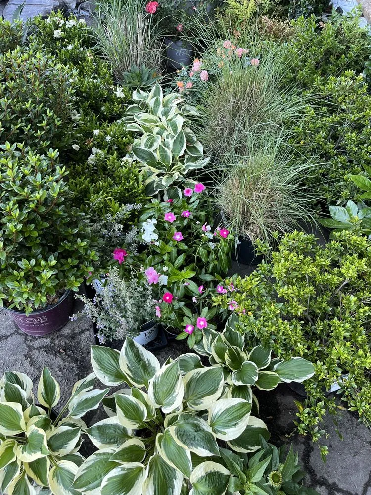 Custom outdoor landscaping in Norfolk, VA by Wedgwood Garden Center