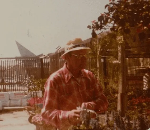 Local garden landscaping in Norfolk, VA - Wedgwood Garden Center