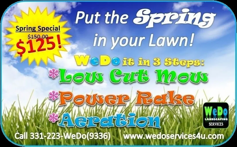 Top-rated yard cleanup service for year-round maintenance in Roselle, IL by WeDo Services