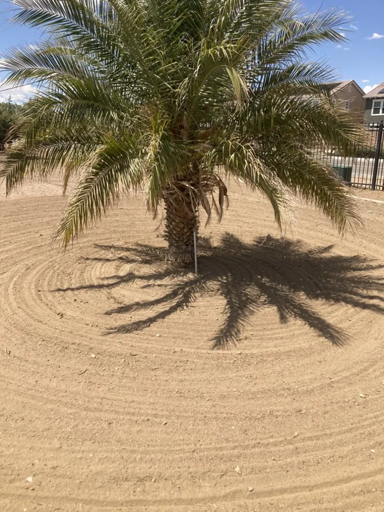 Expert yard maintenance in Hesperia, CA - Weed Abatement Service