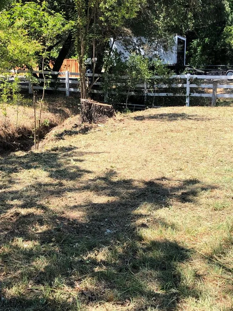 Professional landscaping services near you across Orangevale, CA - Weed Abatement Tractor Work