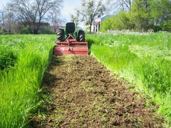 Top-rated residential landscaping in Orangevale, CA by Weed Abatement Tractor Work