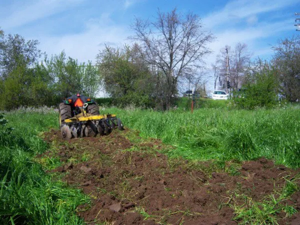 Custom landscape design in Orangevale, CA - Weed Abatement Tractor Work