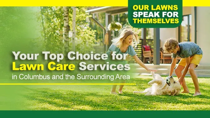 Professional lawn care service with custom design in Westerville, OH by Weed Busters