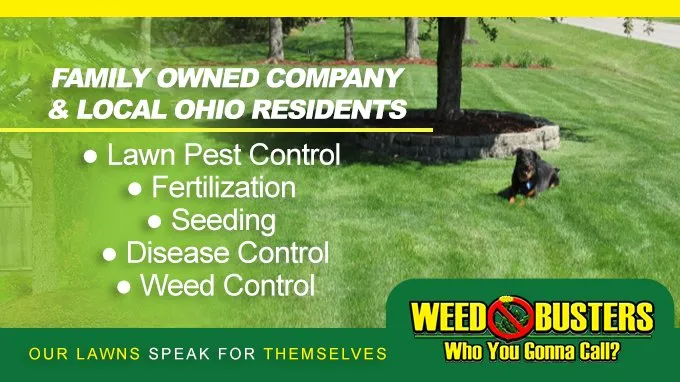 Custom yard cleanup service in Westerville, OH by Weed Busters