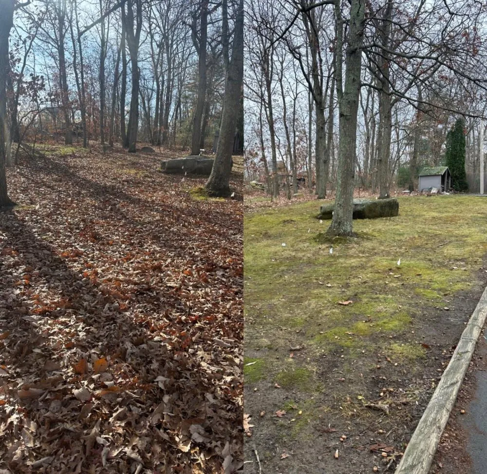 Reliable landscape design experts serving Smithfield, RI - Weed Eater Lawn Care