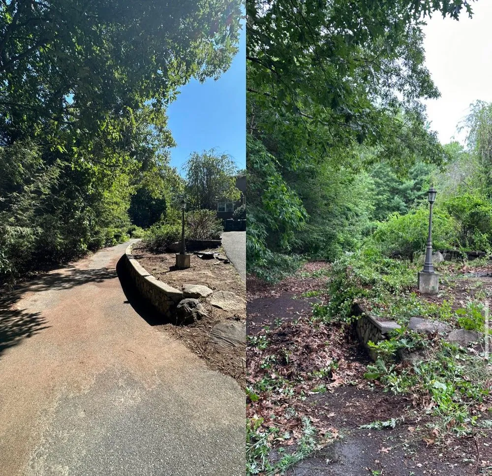 Expert yard cleanup service near you in Smithfield, RI by Weed Eater Lawn Care