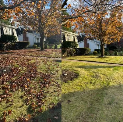 Weed Eater Lawn Care Logo