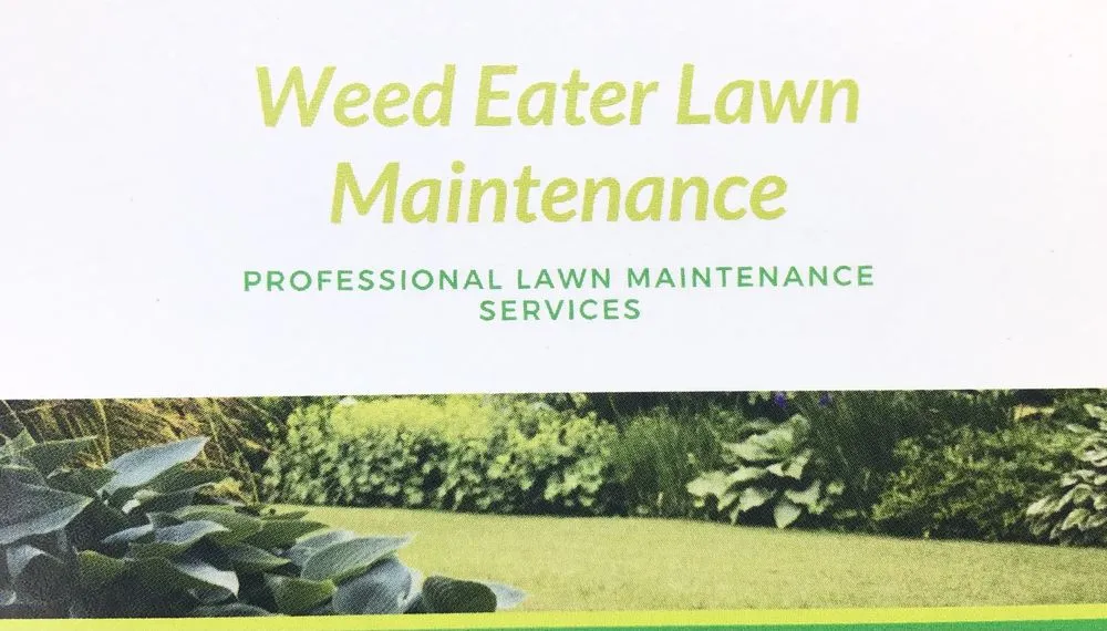 Trusted landscaping services in Spring Hill, FL by Weed Eater Lawn Maintenance