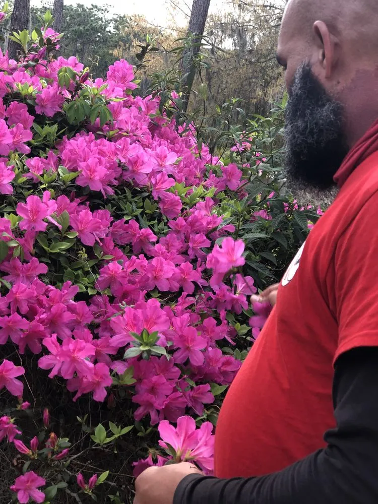 Affordable lawn care service for homes in Spring Hill, FL by Weed Eater Lawn Maintenance