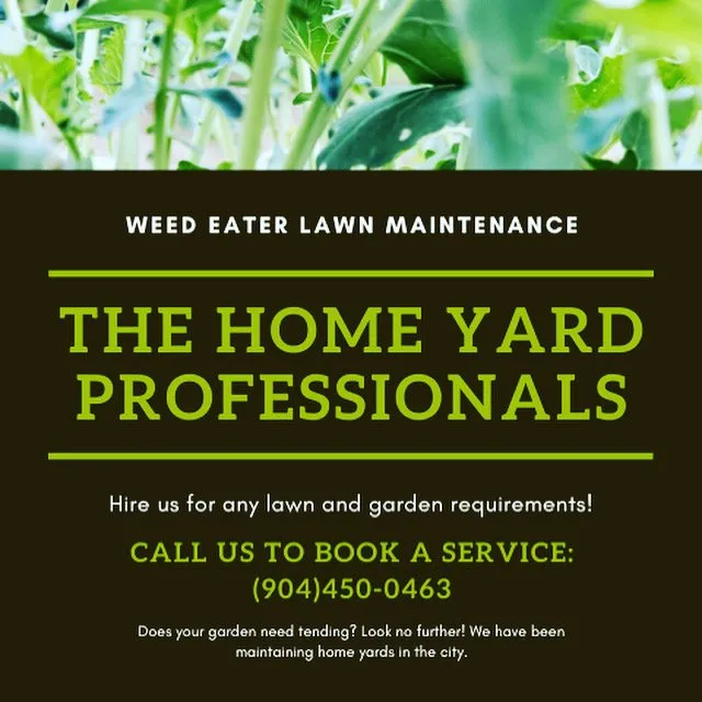 Expert lawn care service for residential properties in Spring Hill, FL by Weed Eater Lawn Maintenance