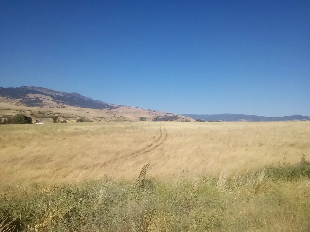 Professional outdoor landscaping experts serving Phoenix, OR - Weed Eater