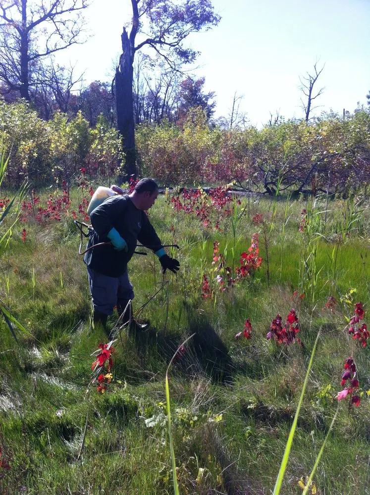 Custom outdoor landscaping experts serving Taylor, MI - Weed Eraser