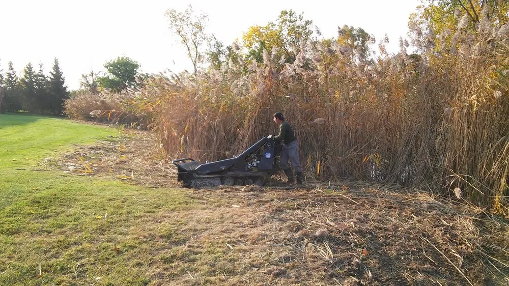 Affordable landscaping services experts serving Taylor, MI - Weed Eraser