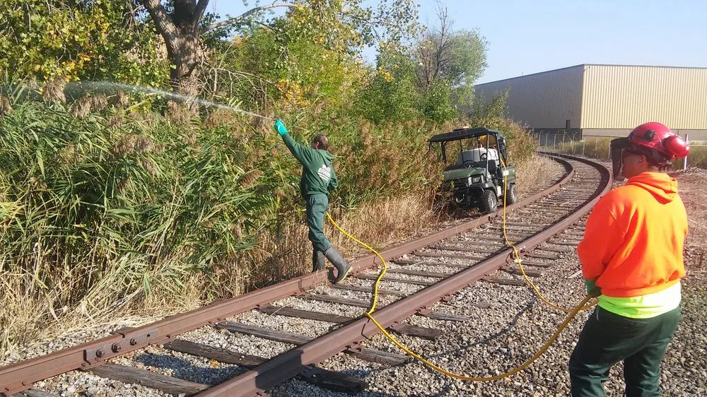 Affordable landscape installation near you across Taylor, MI - Weed Eraser