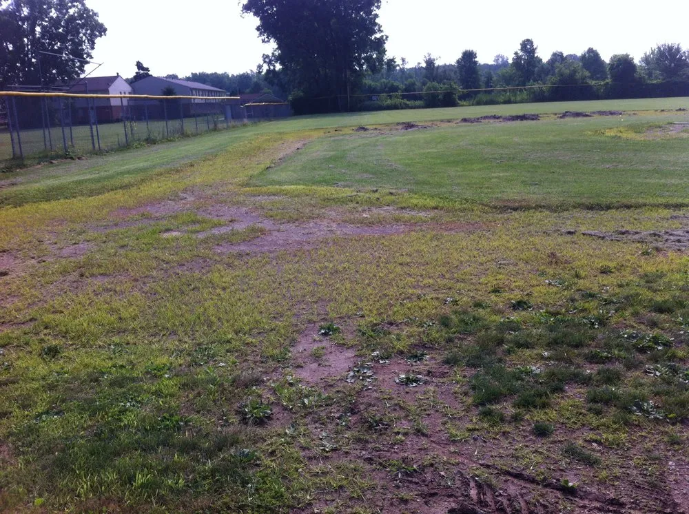 Local yard cleanup service in Taylor, MI by Weed Eraser