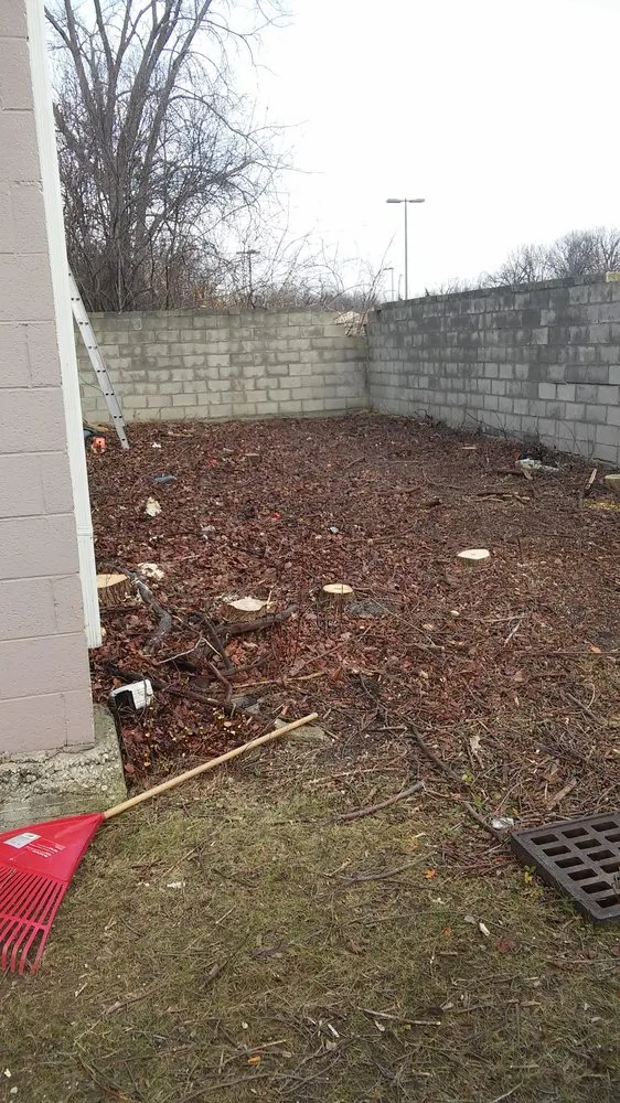 Custom lawn care service for outdoor upgrades across Taylor, MI - Weed Eraser