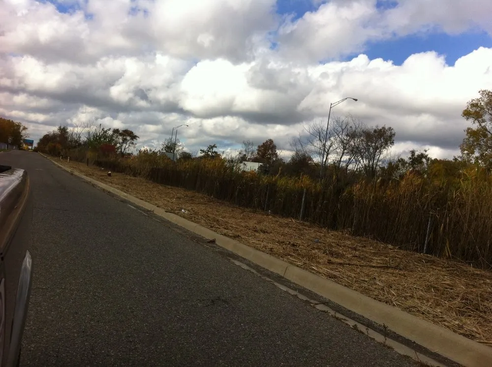 Professional residential landscaping for beautiful yards across Taylor, MI - Weed Eraser