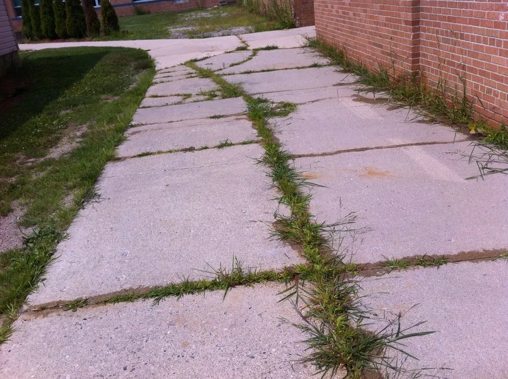 Trusted yard maintenance in Taylor, MI by Weed Eraser