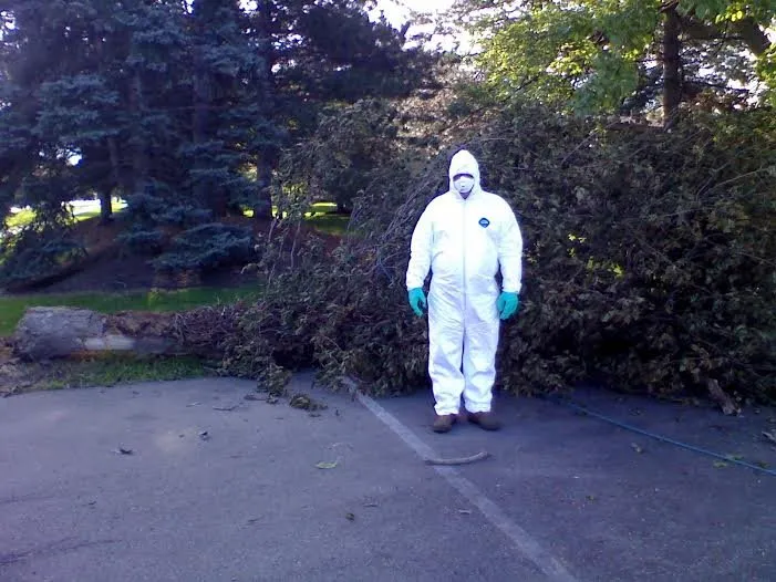 Reliable lawn mowing service in Taylor, MI by Weed Eraser