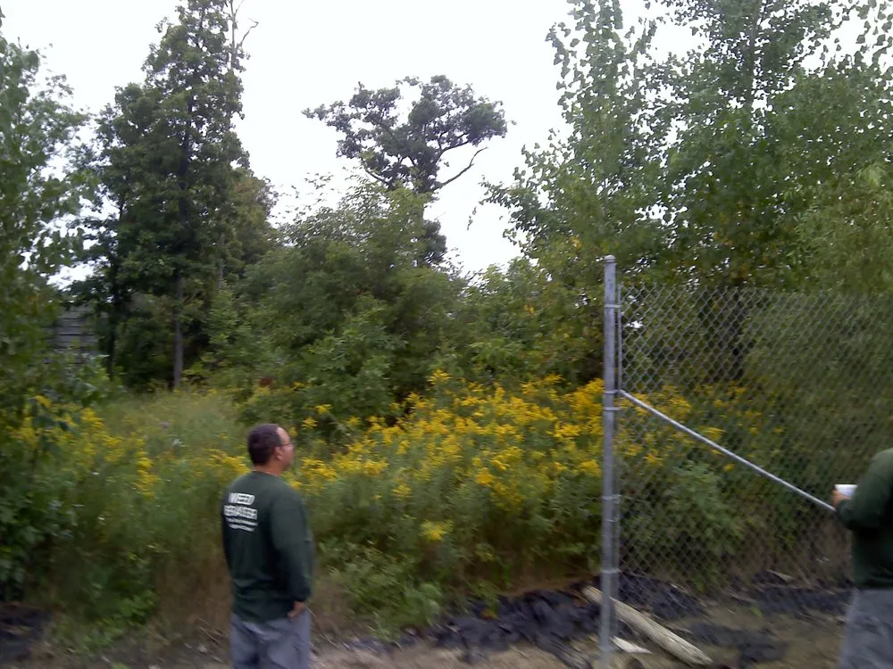 Trusted garden landscaping for year-round maintenance in Taylor, MI by Weed Eraser