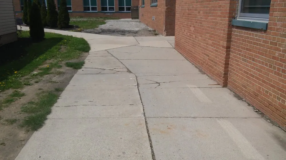 Affordable yard maintenance in Taylor, MI - Weed Eraser