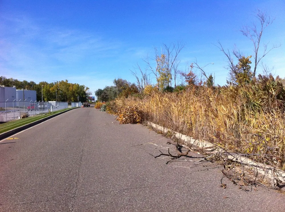 Reliable yard maintenance for residential properties across Taylor, MI - Weed Eraser