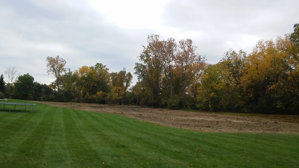 Affordable yard cleanup service in Taylor, MI by Weed Eraser