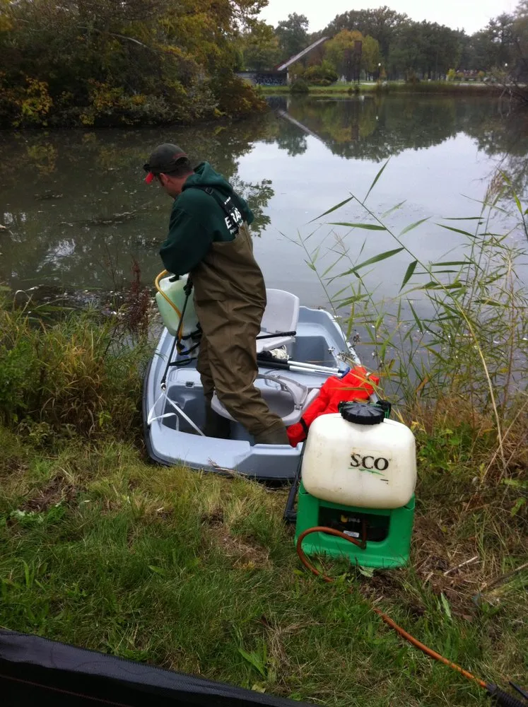 Top-rated yard cleanup service for residential properties in Taylor, MI by Weed Eraser