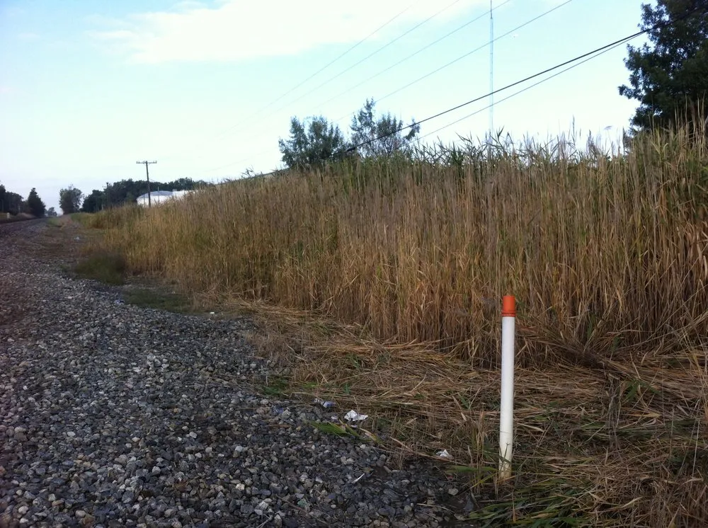 Affordable yard maintenance in Taylor, MI - Weed Eraser