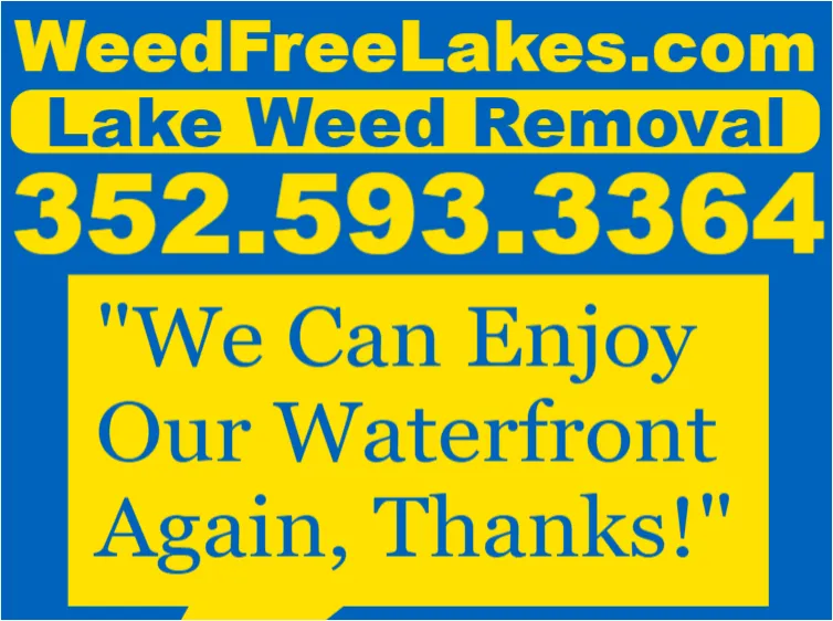 Professional lawn mowing service near you in Leesburg, FL by Weed Free Lakes