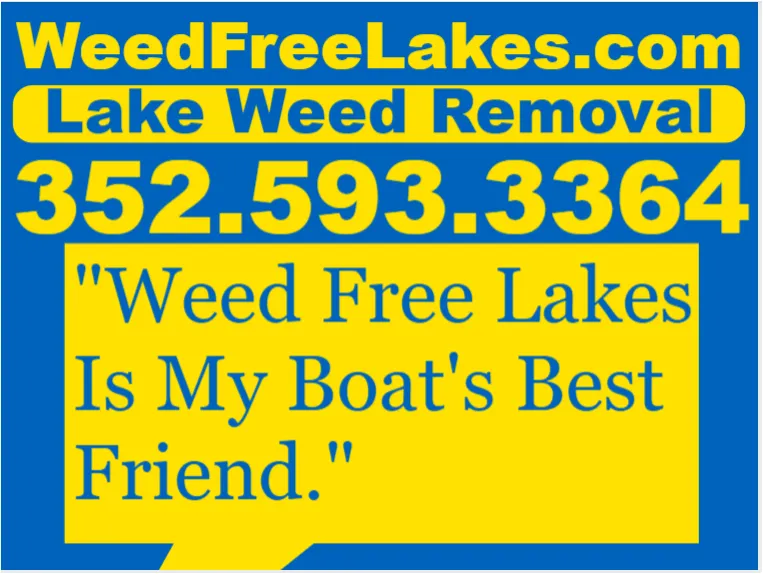 Affordable yard maintenance experts serving Leesburg, FL - Weed Free Lakes